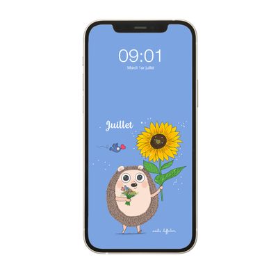 Fonds d'écran du mois de juillet // July screen wallpapers