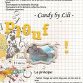 Blog Candy by Lili ...