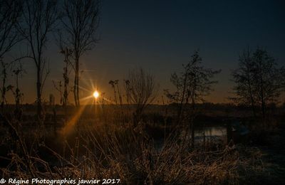 Le soleil se lève sur le marais audomarois