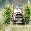 Quand les grandes industries agro-chimiques (BASF, Monsanto, etc...) tentent de discréditer l'agriculture biologique