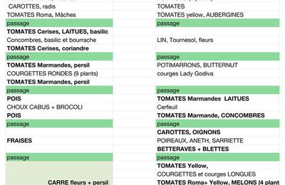 Plan du potager au 1er Mai