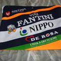 TEAM VINI FANTINI NIPPO (version2)