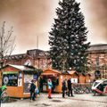 Le grand sapin de la place Kleber, le 05/12/2014