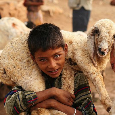 Voyage hors des sentiers battus au Rajasthan