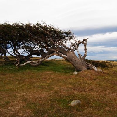 Tierra del Fuego : le bout du bout