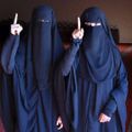 le language gestuelle est un mode de communication silencieuse qui utilise le doigt et la main d'une façon plus ou moins claire.