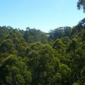 Great Ocean Road