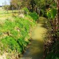 Le Moulin de Poyaller (Landes)...;