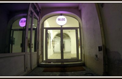 Niki de Saint Phalle à la Galerie Vallois (vu hier)