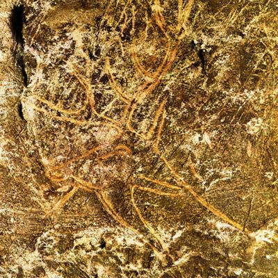 L'art du Paléolithique