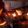 25 décembre 2019 petit feu de bois petits poissons - 03
