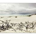 Dune du nord