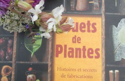 Jouets de plantes, histoire et secrets de fabrications.