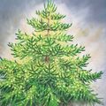 En-cours, lectures et préparatif de Noël 