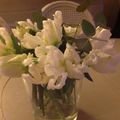 S'offrir un petit bouquet de tulipes perroquets