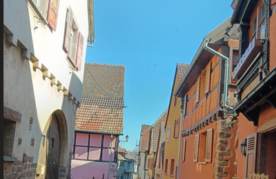 l'Alsace au printemps ; un moment inoubliable !