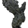 A black lingbi Y-shaped scholar's rock, 18th-19th century