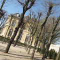 Le café du musée Rodin : un joli havre de paix 