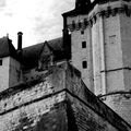 Vues de Saumur, le château