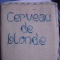 Cerveau de blonde