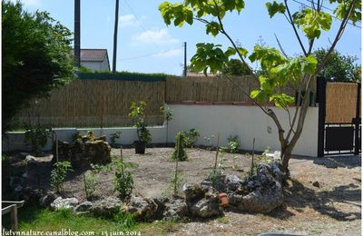 Aménagement du "petit coin" potager - 1ere saison - 