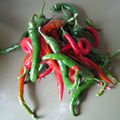 Derniers piments