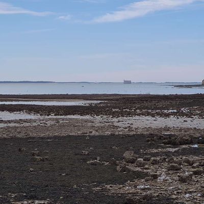 Fouras(3)-Charente Maritime 