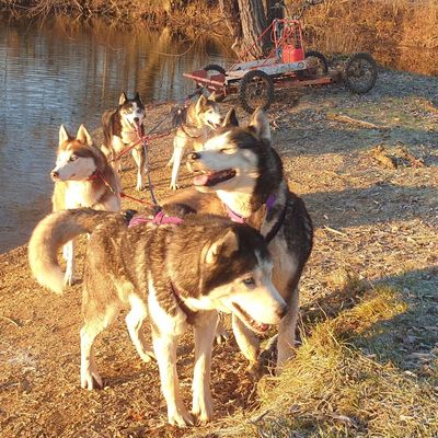 Sortie du 10 janvier 2021