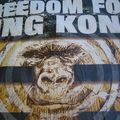 Freedom For King Kong Visuel 2006