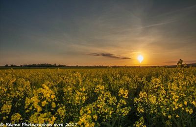 Coucher de soleil