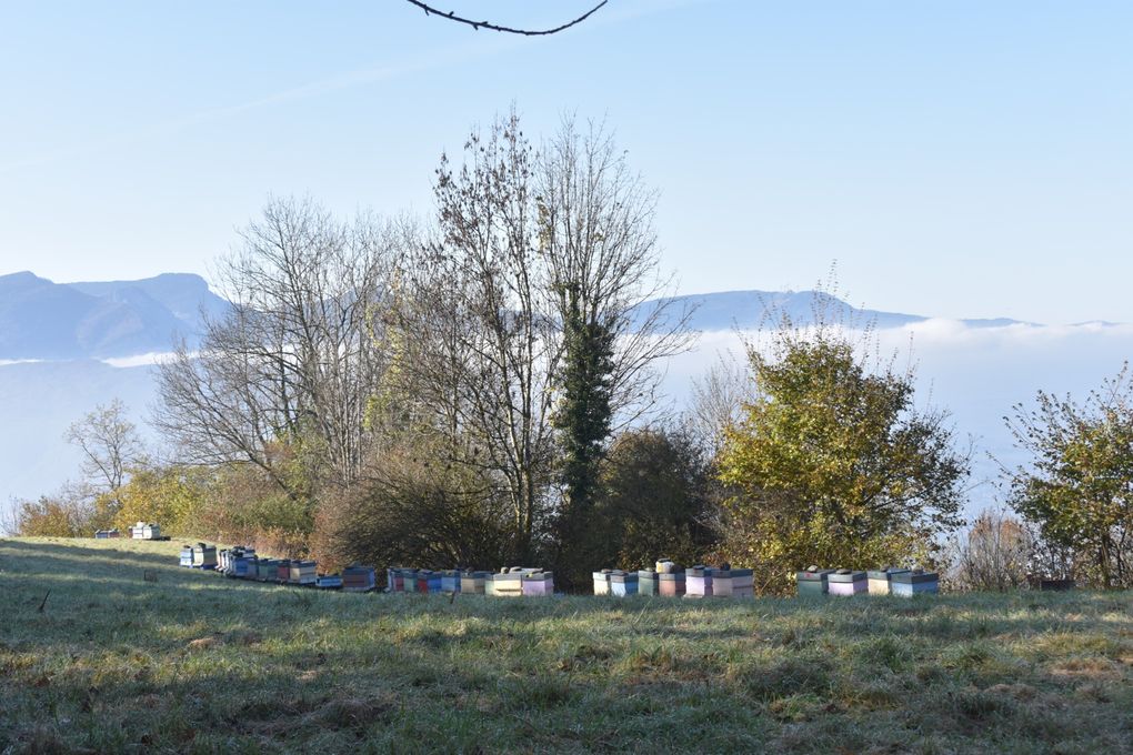 Randonnée matinale au &quot;Mont - Saint - Michel&quot; Savoyard