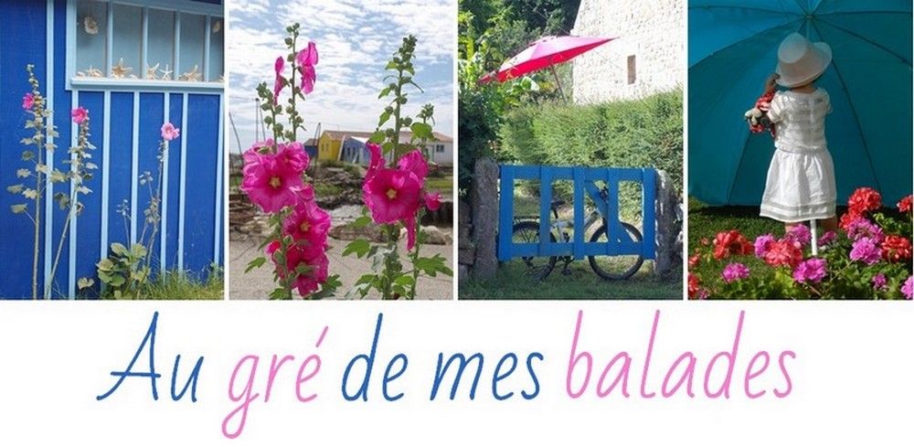 Au gré de mes balades ...