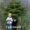 Bientôt Noël