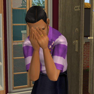 Semaine 1 - Famille Patelle