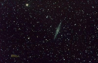 NGC 891