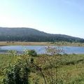 LE LAC DES ROUGES TRUITES ( JURA )