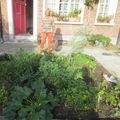 Petit jardin de condimentaires et de quelques potagères sur le Parvis St Henri