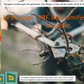 🍂 BRF Broyage au jardin Paysagiste Pays Basque