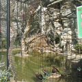 MOnaco zoo