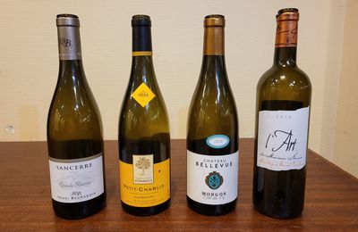 Vins dégustés en mars 2024