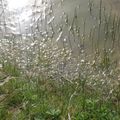 Baie de Somme, Acte 4