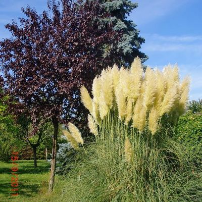 Des nouvelles de Maryse !