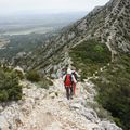 Crête des Alpilles