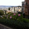 San Fran will blow your mind!