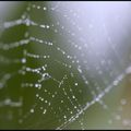 Stage de macrophotographie par Jiri Benovsky