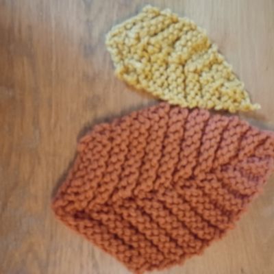 Feuilles d'automne 🍁🍂