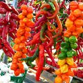 Marché Jean-Talon, Montréal