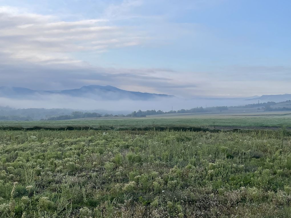 Vendredi 03 octobre 2025 sur un des balcons de ma ville  , en date du 29 sept 2025 et le vent était très froid , ça réveille de bon matin ... Je vous laisse contempler mon diaporama 
