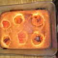 Moelleux aux abricots