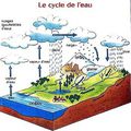  2º ESO Le cycle de l'eau